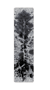 Pioneer Longhorn - Black And White