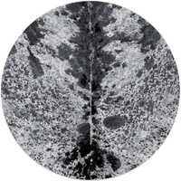 Pioneer Longhorn - Black And White