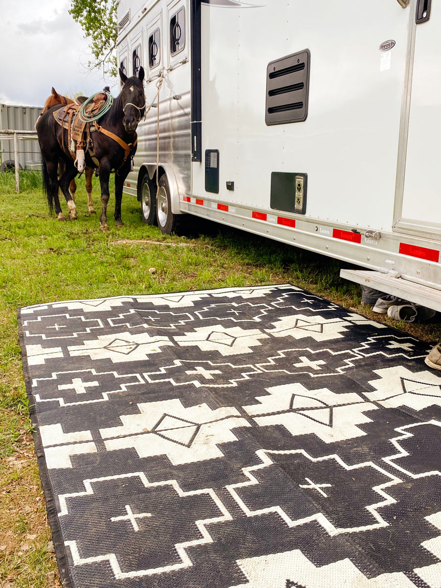outdoor western rugs - black and ivory