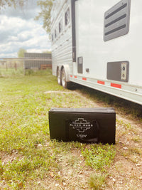 outdoor western rugs - black and ivory