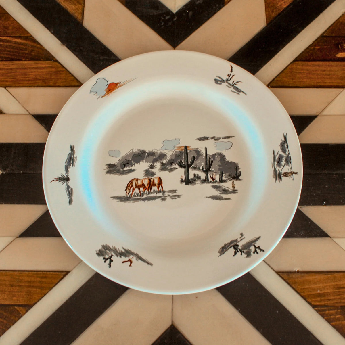 Painted Ranch Life 16pc Ceramic Dinnerware Set