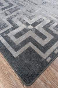 Southwestern Boho Western Gray Rug