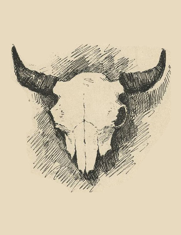 Timber Creek Mercantile Greeting Cards