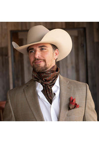 Western Pocket Square Longhorn/Saguaro Brown