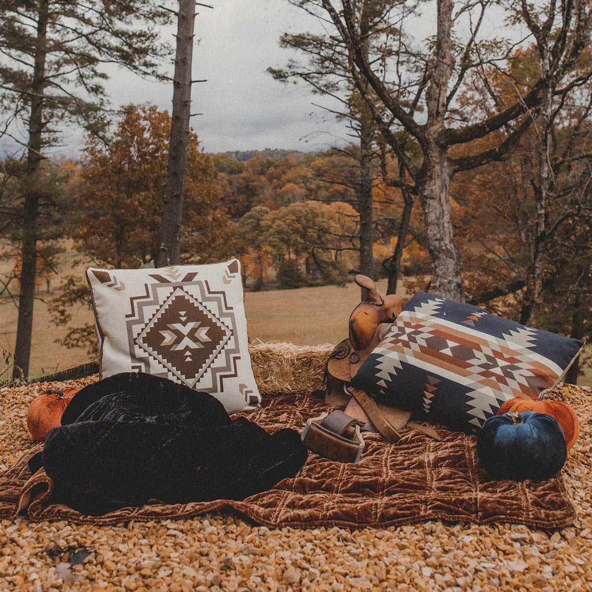 western velvet throw blanket