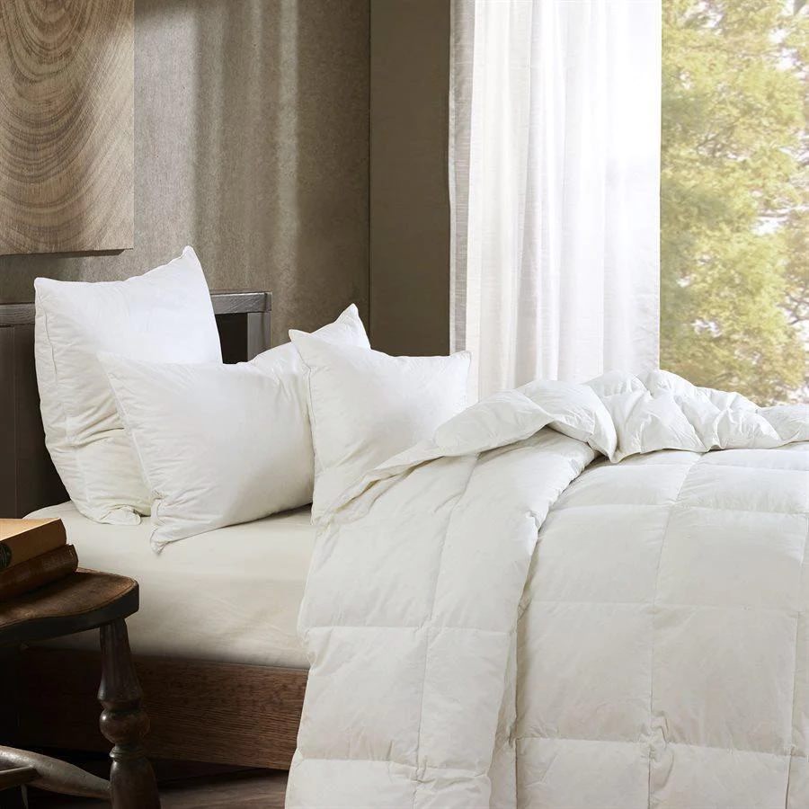 Standard and Queen Pillow Sham Inserts