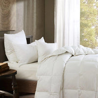 Standard and Queen Pillow Sham Inserts