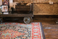 Timber Creek Mercantile | Montreal Desert Persian Rug3