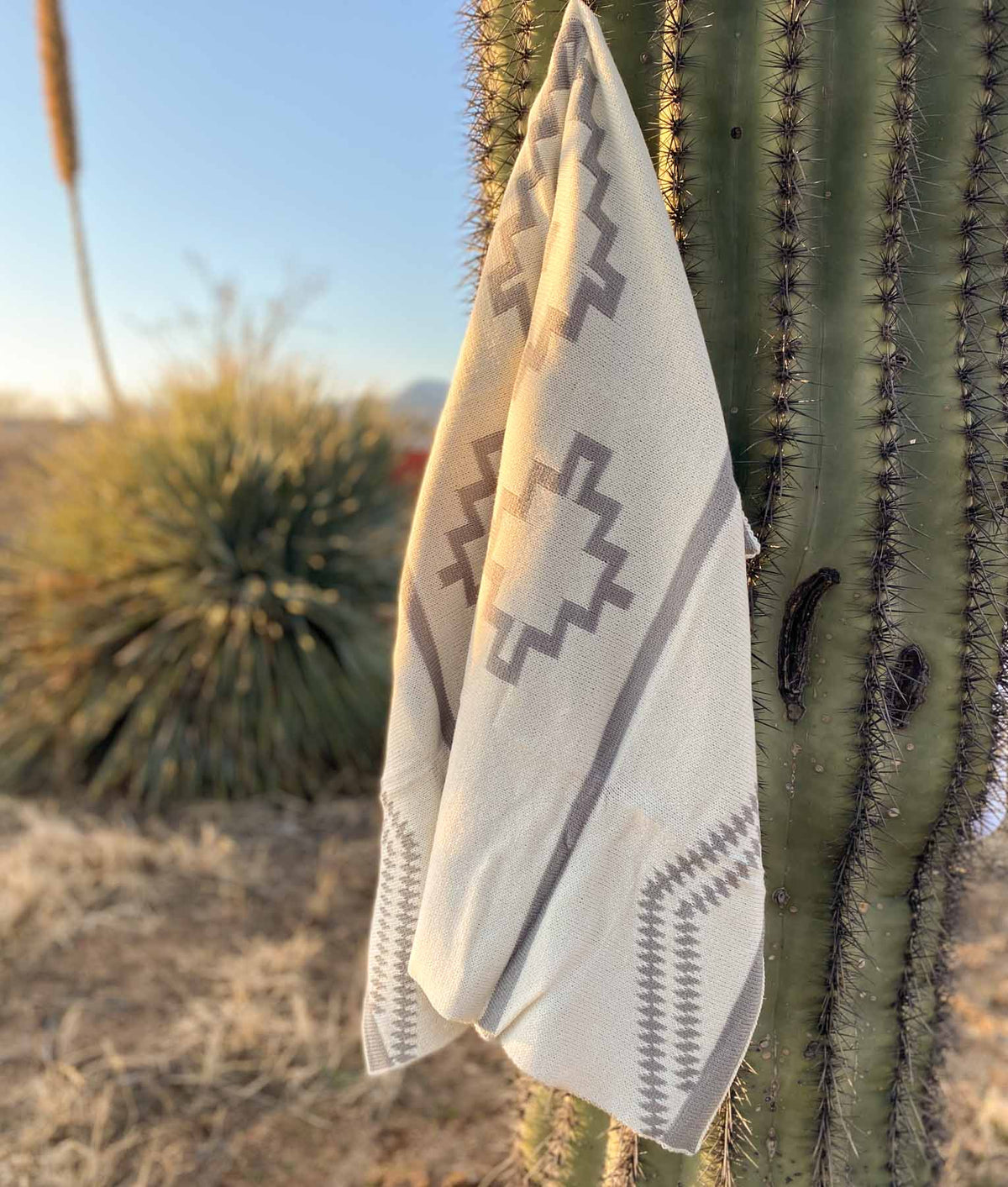 Gray Alpine Aztec Baby Blanket