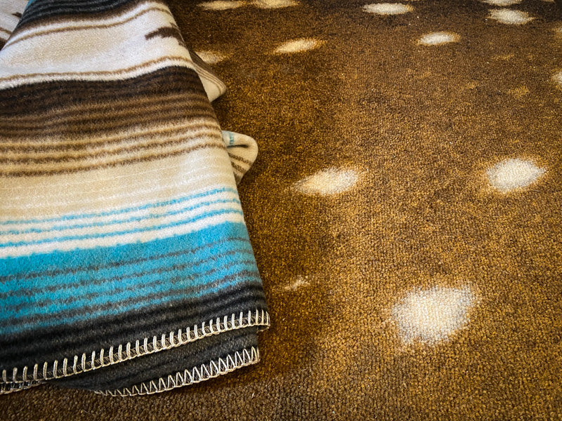 zarape blanket