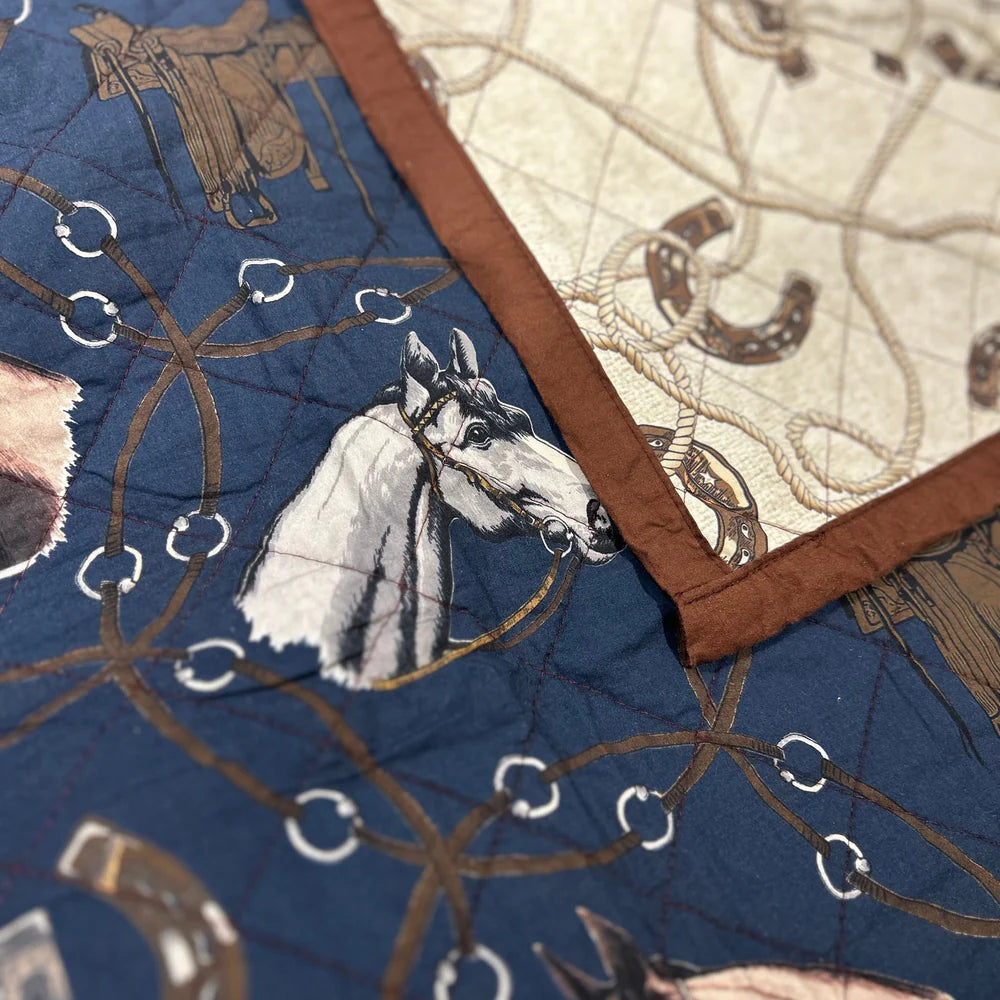 Tasha Polizzi Saratoga Quilt Set